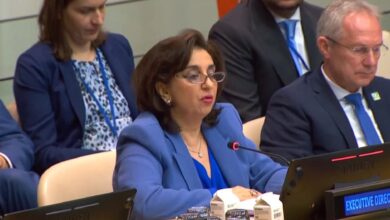 UN News سيما بحوث المديرة التنفيذية لهيئة الأمم المتحدة للمرأة