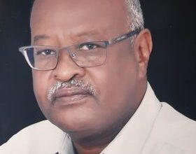 عبدالمجيد نورالدين ابنعوف