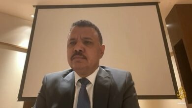 يوسف ابراهيم عزت الماهري