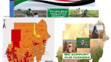 Sudan’s Food Security Crisis