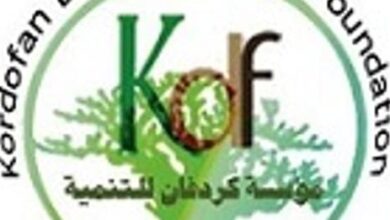 مؤسسة كردفان للتنمية (لندن)