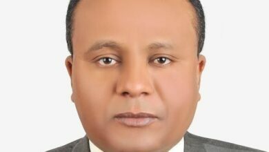 د. عبدالله الفكي البشير