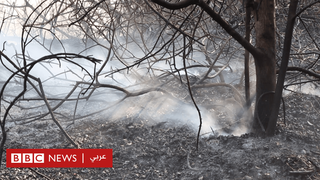 لبنان-يحمل-قضية-“الإبادة-البيئية”-إلى-مؤتمر-الأطراف-في-دبي