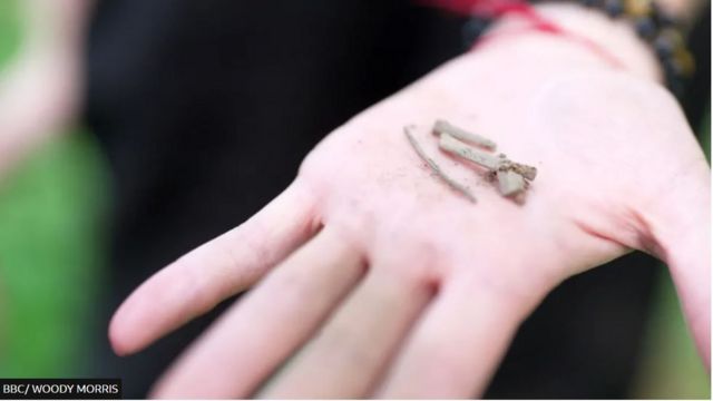 الأغصان لصغيرة التي عثر عليها داخل الشنطة