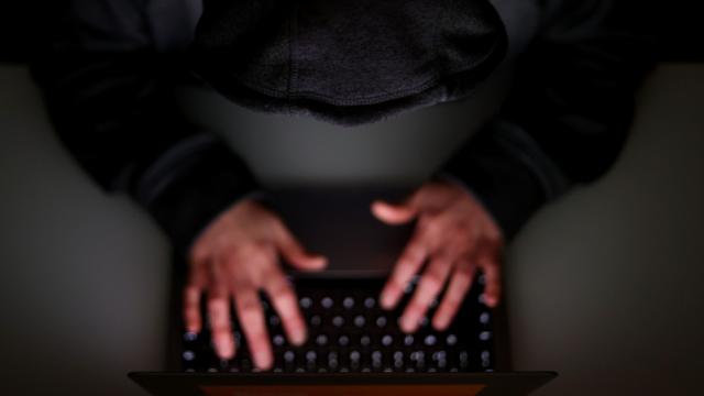 شبكة مجرمين على الانترنت