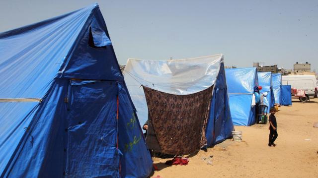 تشير التقديرات إلى أنَّ نحو 1.4 مليون فلسطيني نزحوا إلى مدينة رفح إثر الحرب الدائرة منذ السابع من اكتوبر