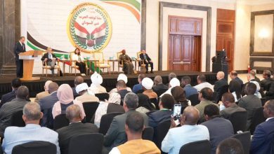 حضور لافت خلال مؤتمر القوى السياسية والمدنية السودانية بالقاهرة (الخارجية المصرية)