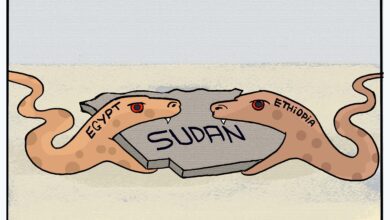 بين جارين ونارين، كاريكاتير عمر دفع الله