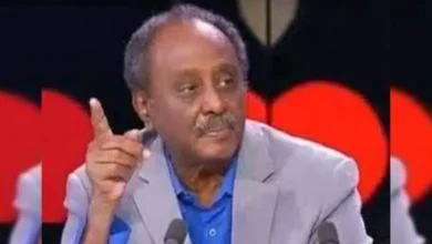 هاشم صديق