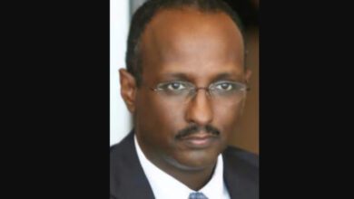 د. أحمد عثمان عمر