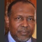 صورة محمد عبدالرحمن محمود