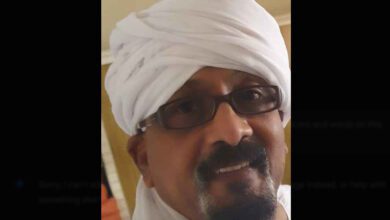علاء خيراوي
