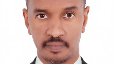 محمد المختار محمد