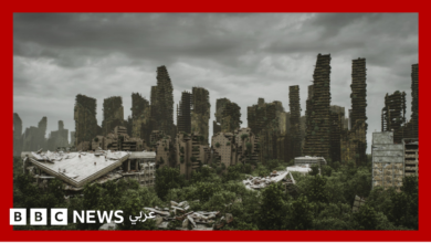 هل-يتمكن-الذكاء-الاصطناعي-من-القضاء-على-البشر؟