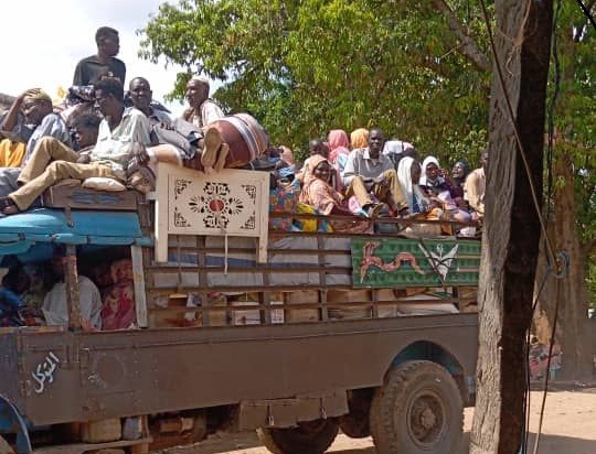 صورة الخبر