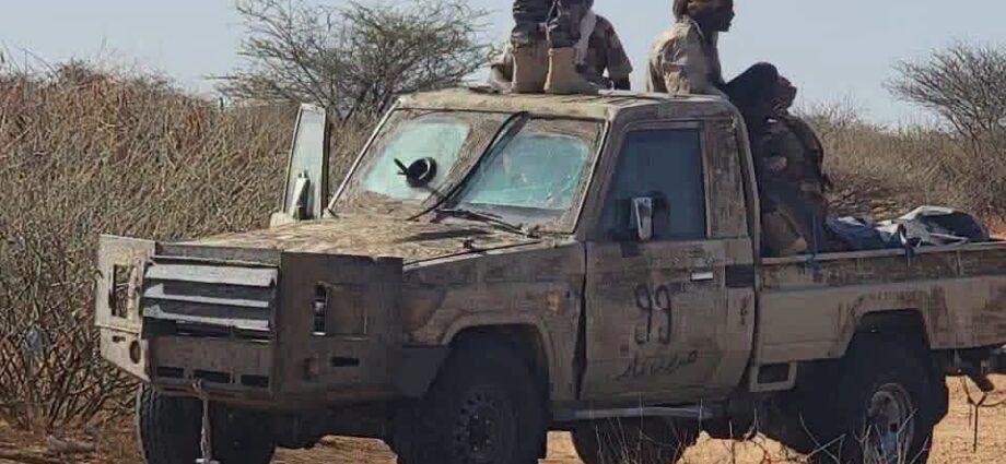 صورة الخبر