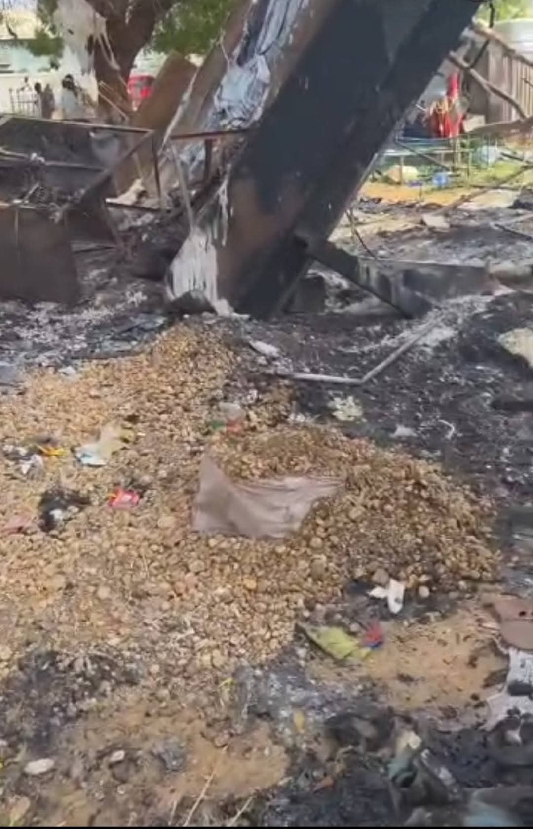 صورة الخبر