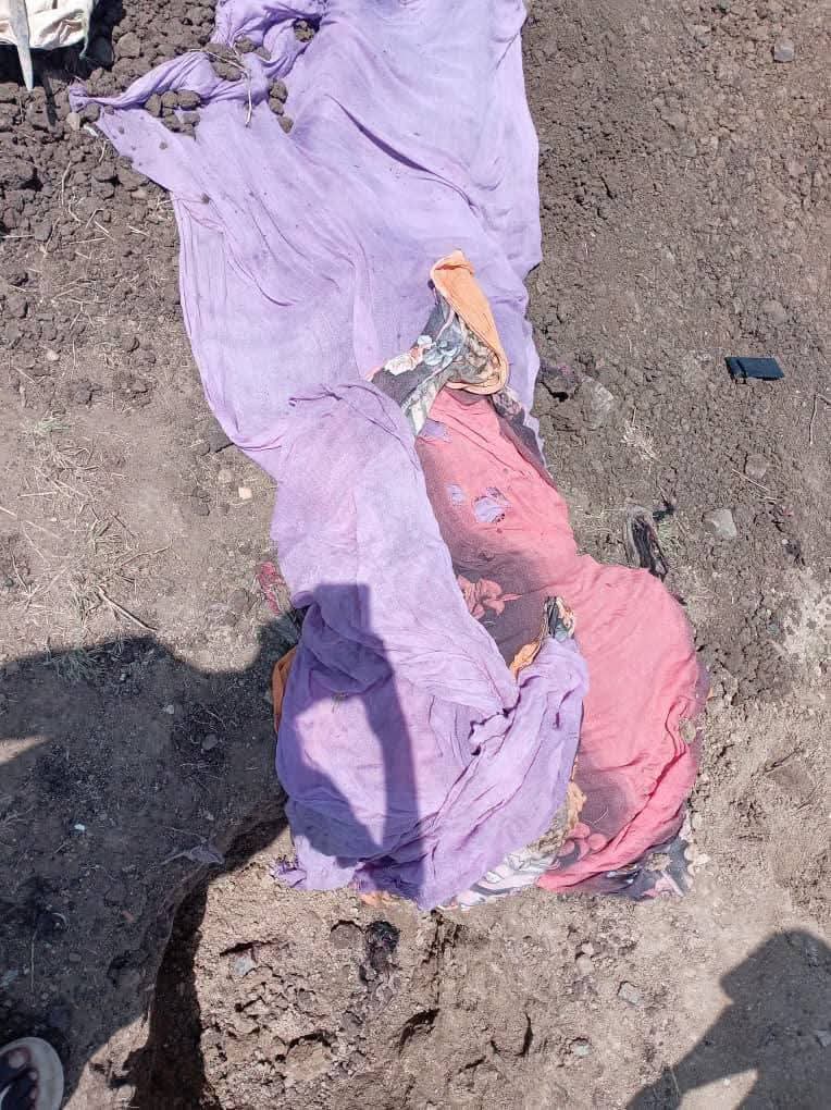صورة الخبر