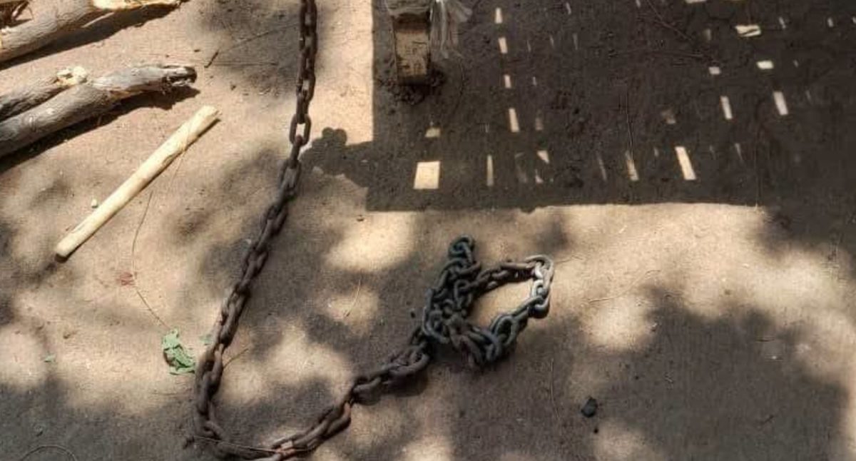صورة الخبر